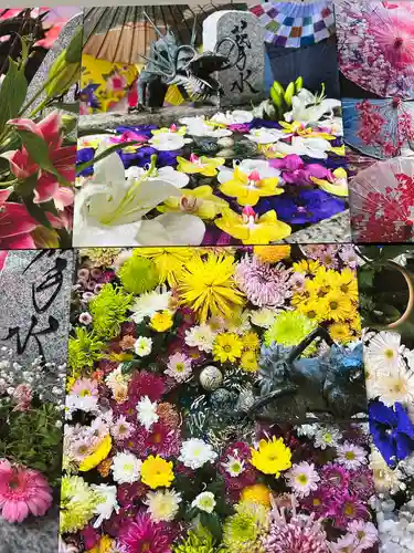 札幌諏訪神社の手水舎