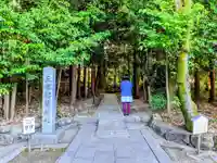 武並神社の自然