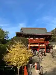 鶴岡八幡宮(神奈川県)