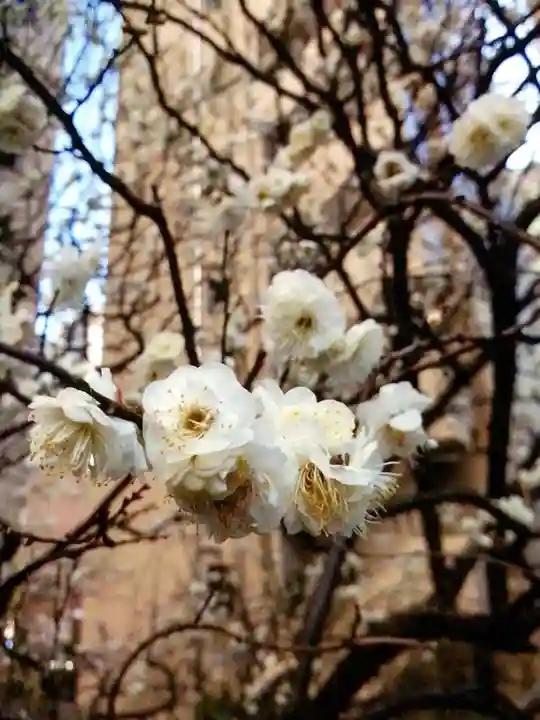 銀世界稲荷神社(東京都)