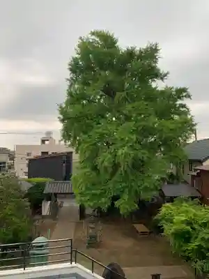 神明寺(千葉県)