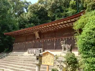 宇治上神社(京都府)