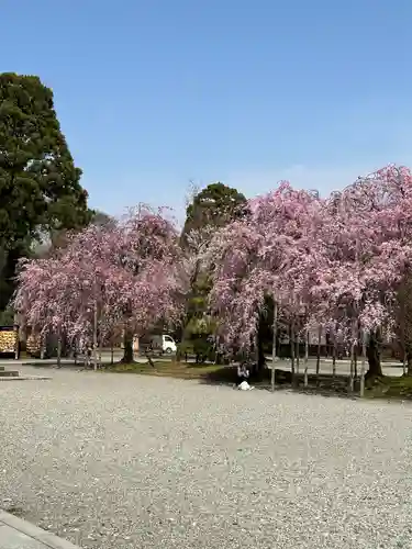 富山縣護國神社(富山県)