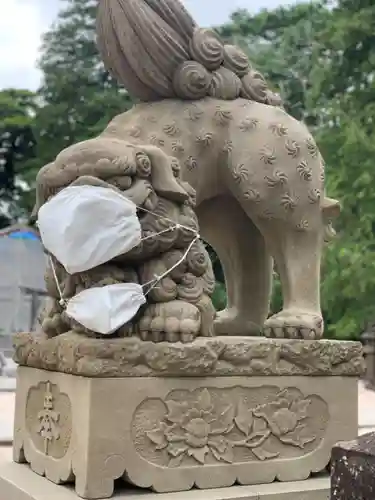 松江神社の狛犬