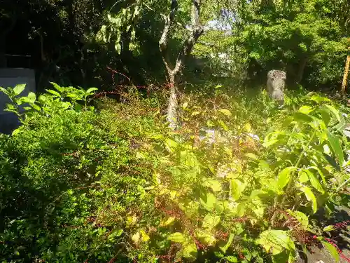安國論寺（安国論寺）の自然