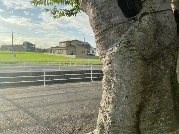 賽の大神(岡山県)