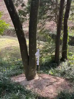 出雲路幸神社の{uncategorized: "未分類", other: "その他", undefined: "問題あり", building: "その他建物", grave: "お墓", sacred_gate: "鳥居", guardian: "狛犬", statue: "像", buddha: "仏像", history: "歴史", nature: "自然", garden: "庭園", animal: "動物", pagoda: "塔", temizu: "手水舎", mountain_gate: "山門・神門", sanctuary: "本殿・本堂", subordinate: "末社・摂社", art: "芸術", scenery: "景色", jizo: "地蔵", ema: "絵馬", goshuin: "御朱印", omikuji: "おみくじ", items: "授与品その他", amulet: "お守り", goshuincho: "御朱印帳", eats: "食事", festival: "お祭り", votive_dance: "神楽", shichigosan: "七五三参", wedding: "結婚式", experience: "体験その他", initially: "初詣", around: "周辺", anti_infection: "感染症対策"}