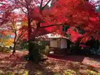 興聖寺(滋賀県)