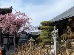 楽法寺（雨引観音）(茨城県)