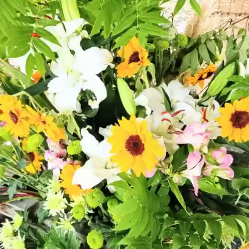 彌彦神社　(伊夜日子神社)(北海道)