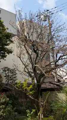 宝蔵寺(京都府)