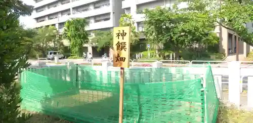 胡録神社のその他建物