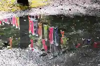 くまくま神社(導きの社 熊野町熊野神社)の景色