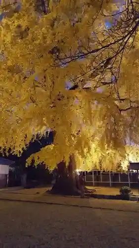 丹生酒殿神社の自然