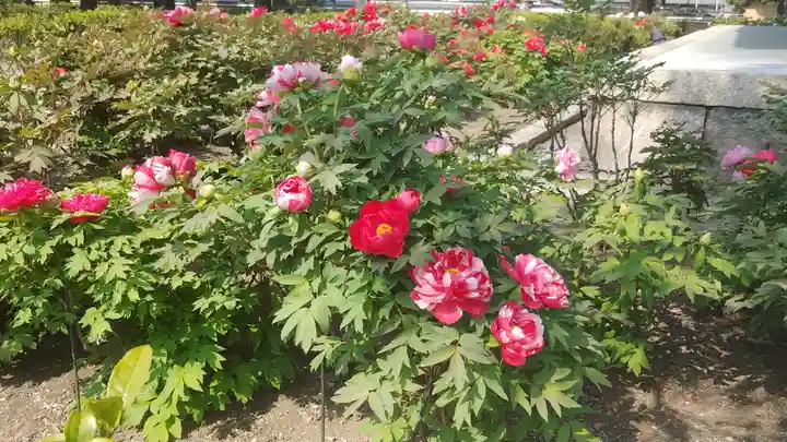 建仁寺(建仁禅寺)の庭園