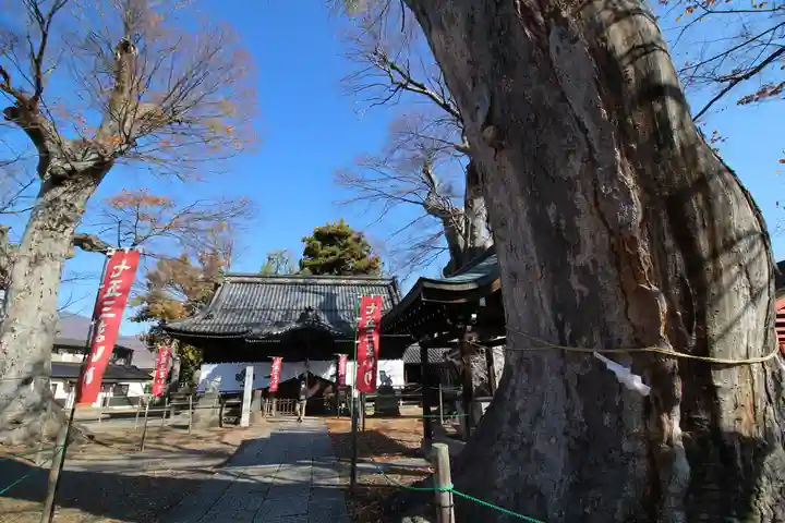 科野大宮社のその他建物