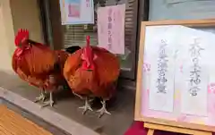 谷保天満宮の動物