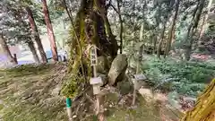 	八幡神社(福井県)