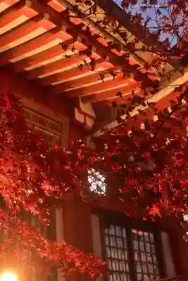 大山阿夫利神社(神奈川県)