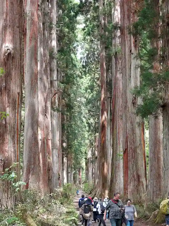 戸隠神社奥社の{uncategorized: "未分類", other: "その他", undefined: "問題あり", building: "その他建物", grave: "お墓", sacred_gate: "鳥居", guardian: "狛犬", statue: "像", buddha: "仏像", history: "歴史", nature: "自然", garden: "庭園", animal: "動物", pagoda: "塔", temizu: "手水舎", mountain_gate: "山門・神門", sanctuary: "本殿・本堂", subordinate: "末社・摂社", art: "芸術", scenery: "景色", jizo: "地蔵", ema: "絵馬", goshuin: "御朱印", omikuji: "おみくじ", items: "授与品その他", amulet: "お守り", goshuincho: "御朱印帳", eats: "食事", festival: "お祭り", votive_dance: "神楽", shichigosan: "七五三参", wedding: "結婚式", experience: "体験その他", initially: "初詣", around: "周辺", anti_infection: "感染症対策"}