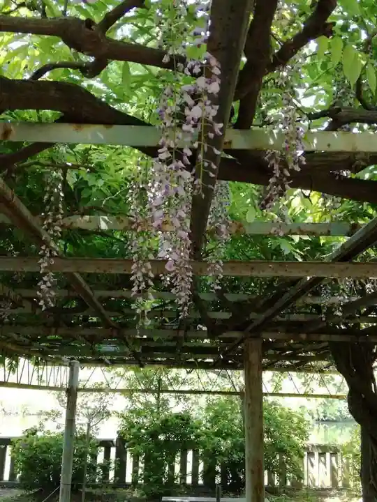 武蔵第六天神社の庭園