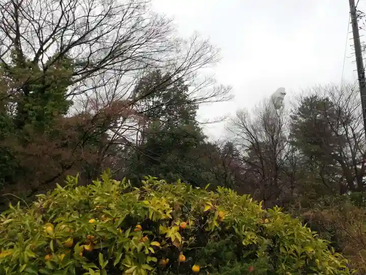 観音山慈眼院(高崎観音)の仏像