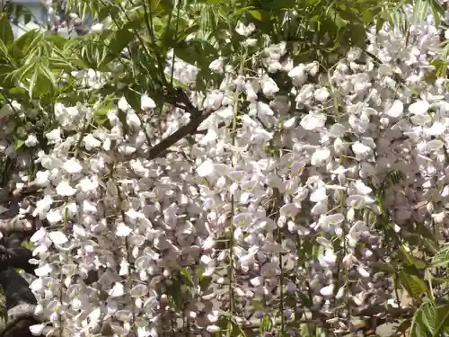 志那神社のその他建物