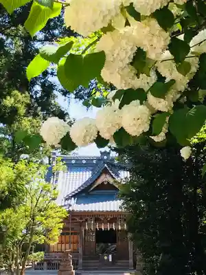 安田八幡宮(新潟県)