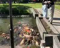 伊佐須美神社(福島県)