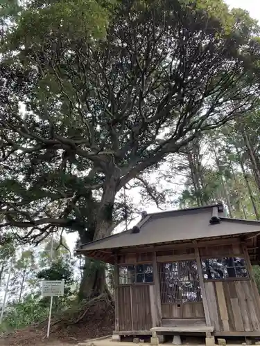 白山神社の本殿・本堂