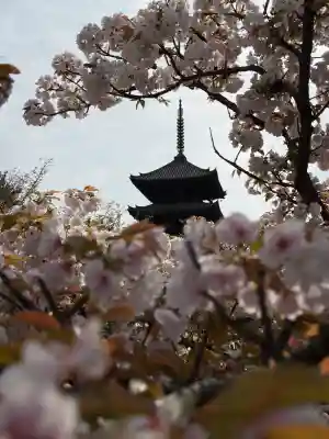 仁和寺の{uncategorized: "未分類", other: "その他", undefined: "問題あり", building: "その他建物", grave: "お墓", sacred_gate: "鳥居", guardian: "狛犬", statue: "像", buddha: "仏像", history: "歴史", nature: "自然", garden: "庭園", animal: "動物", pagoda: "塔", temizu: "手水舎", mountain_gate: "山門・神門", sanctuary: "本殿・本堂", subordinate: "末社・摂社", art: "芸術", scenery: "景色", jizo: "地蔵", ema: "絵馬", goshuin: "御朱印", omikuji: "おみくじ", items: "授与品その他", amulet: "お守り", goshuincho: "御朱印帳", eats: "食事", festival: "お祭り", votive_dance: "神楽", shichigosan: "七五三参", wedding: "結婚式", experience: "体験その他", initially: "初詣", around: "周辺", anti_infection: "感染症対策"}