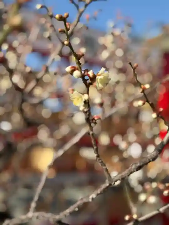 山田天満宮(愛知県)