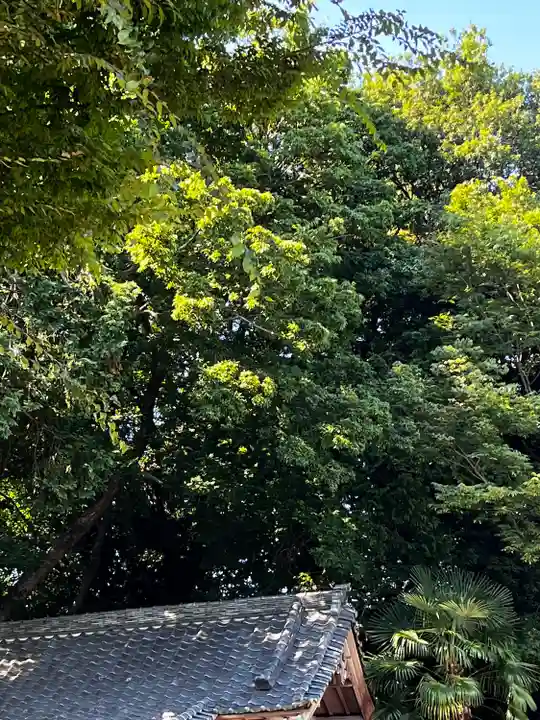 浅間神社の自然