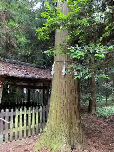 諏訪神社のその他建物