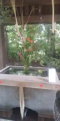 赤坂氷川神社(東京都)