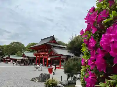 近江神宮(滋賀県)