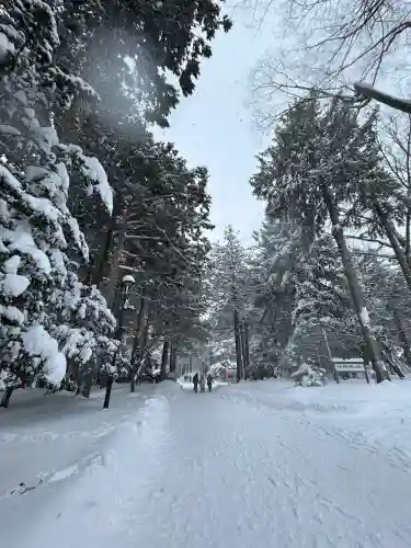 北海道神宮の{uncategorized: "未分類", other: "その他", undefined: "問題あり", building: "その他建物", grave: "お墓", sacred_gate: "鳥居", guardian: "狛犬", statue: "像", buddha: "仏像", history: "歴史", nature: "自然", garden: "庭園", animal: "動物", pagoda: "塔", temizu: "手水舎", mountain_gate: "山門・神門", sanctuary: "本殿・本堂", subordinate: "末社・摂社", art: "芸術", scenery: "景色", jizo: "地蔵", ema: "絵馬", goshuin: "御朱印", omikuji: "おみくじ", items: "授与品その他", amulet: "お守り", goshuincho: "御朱印帳", eats: "食事", festival: "お祭り", votive_dance: "神楽", shichigosan: "七五三参", wedding: "結婚式", experience: "体験その他", initially: "初詣", around: "周辺", anti_infection: "感染症対策"}