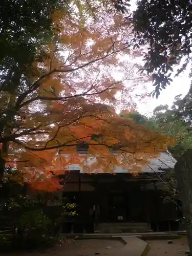 桂昌庵（円覚寺塔頭）の本殿・本堂