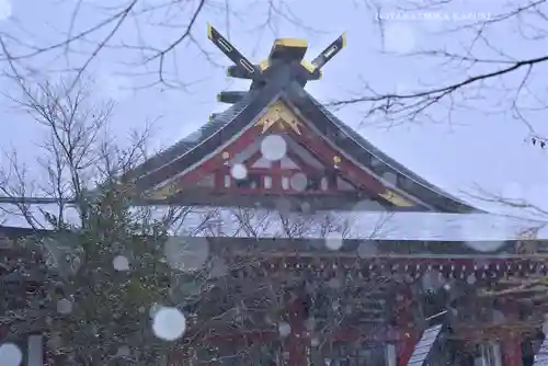 大山阿夫利神社(神奈川県)