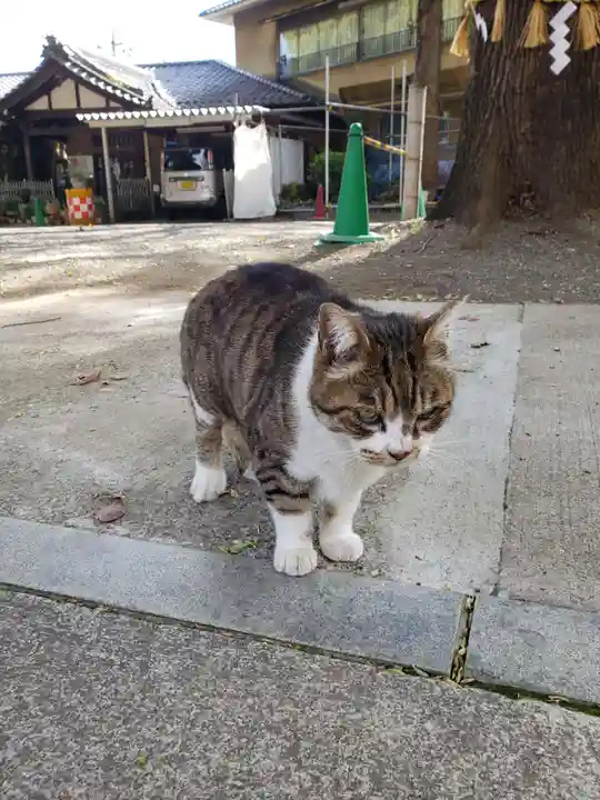 荻窪白山神社(東京都)