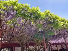 笠間稲荷神社の庭園