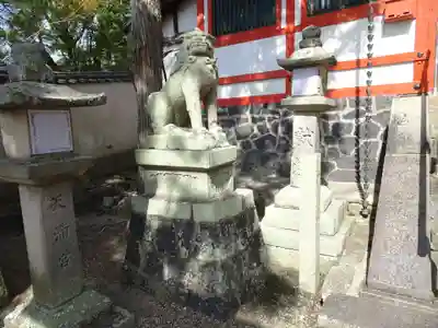 天神社の狛犬