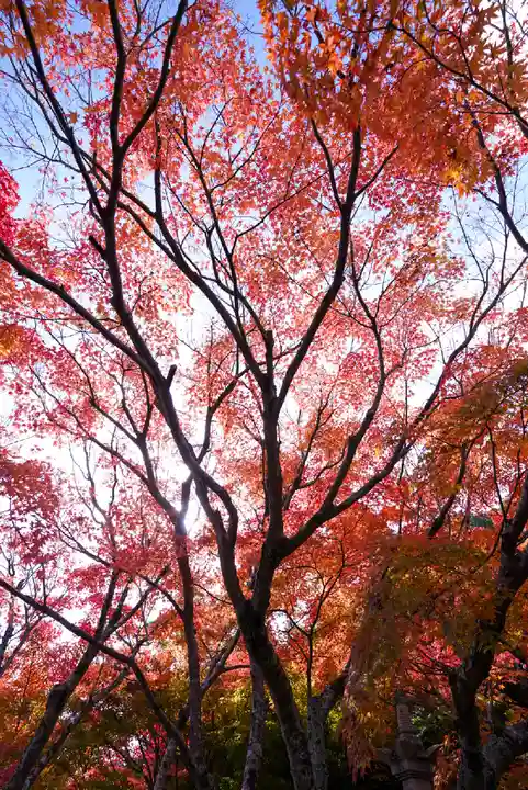 両足寺(山口県)