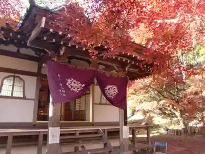玉龍寺(岐阜県)