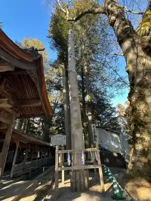 諏訪大社(長野県)