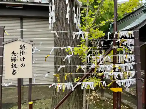 溝口神社のその他建物
