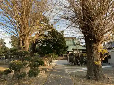 光厳寺の自然