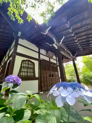 真正極楽寺(真如堂)(京都府)