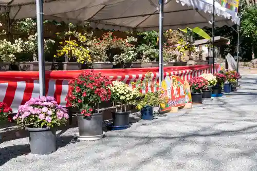 出雲大社相模分祠(神奈川県)