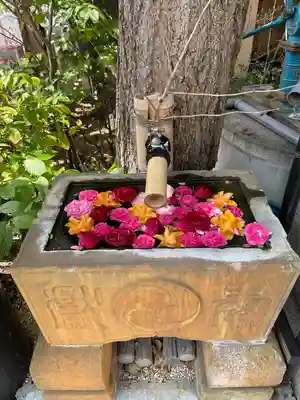菊名神社(神奈川県)